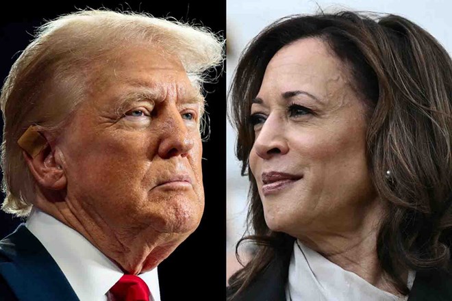 Tương quan ủng hộ ông Donald Trump, bà Kamala Harris