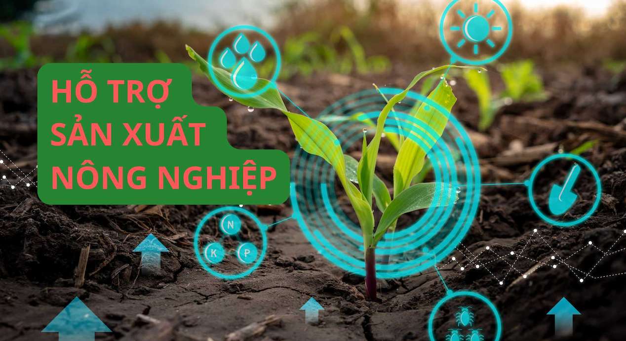 Hỗ trợ sản xuất khi bị thu hồi đất nông nghiệp thế nào?