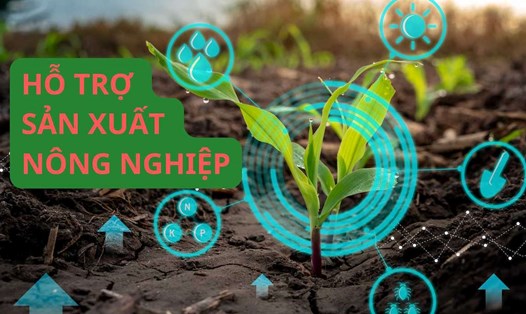 Hỗ trợ sản xuất khi bị thu hồi đất nông nghiệp thế nào?