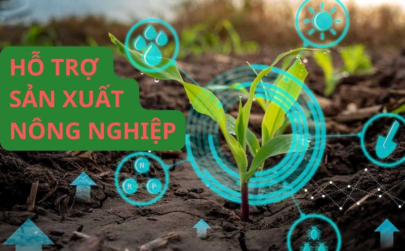 Hỗ trợ sản xuất khi bị thu hồi đất nông nghiệp thế nào?