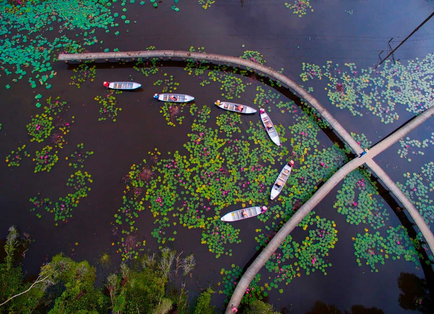 During the flood season, the village takes on a vibrant new look. Photo: Thap Muoi