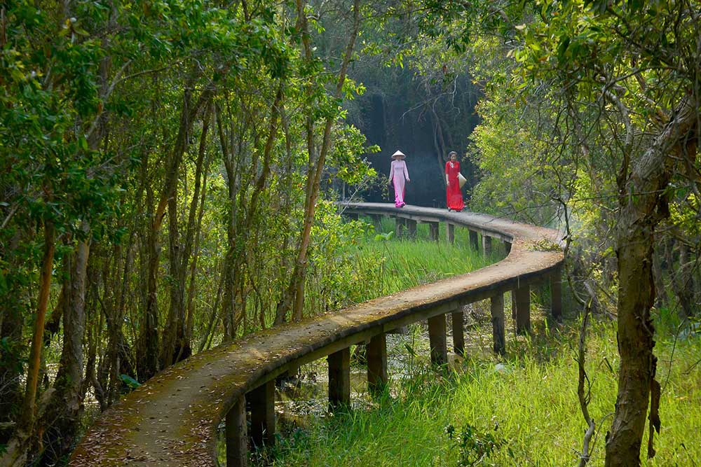 The path through the mangrove forest is a popular spot for tourists to take photos and check-in. Photo: TTXVN