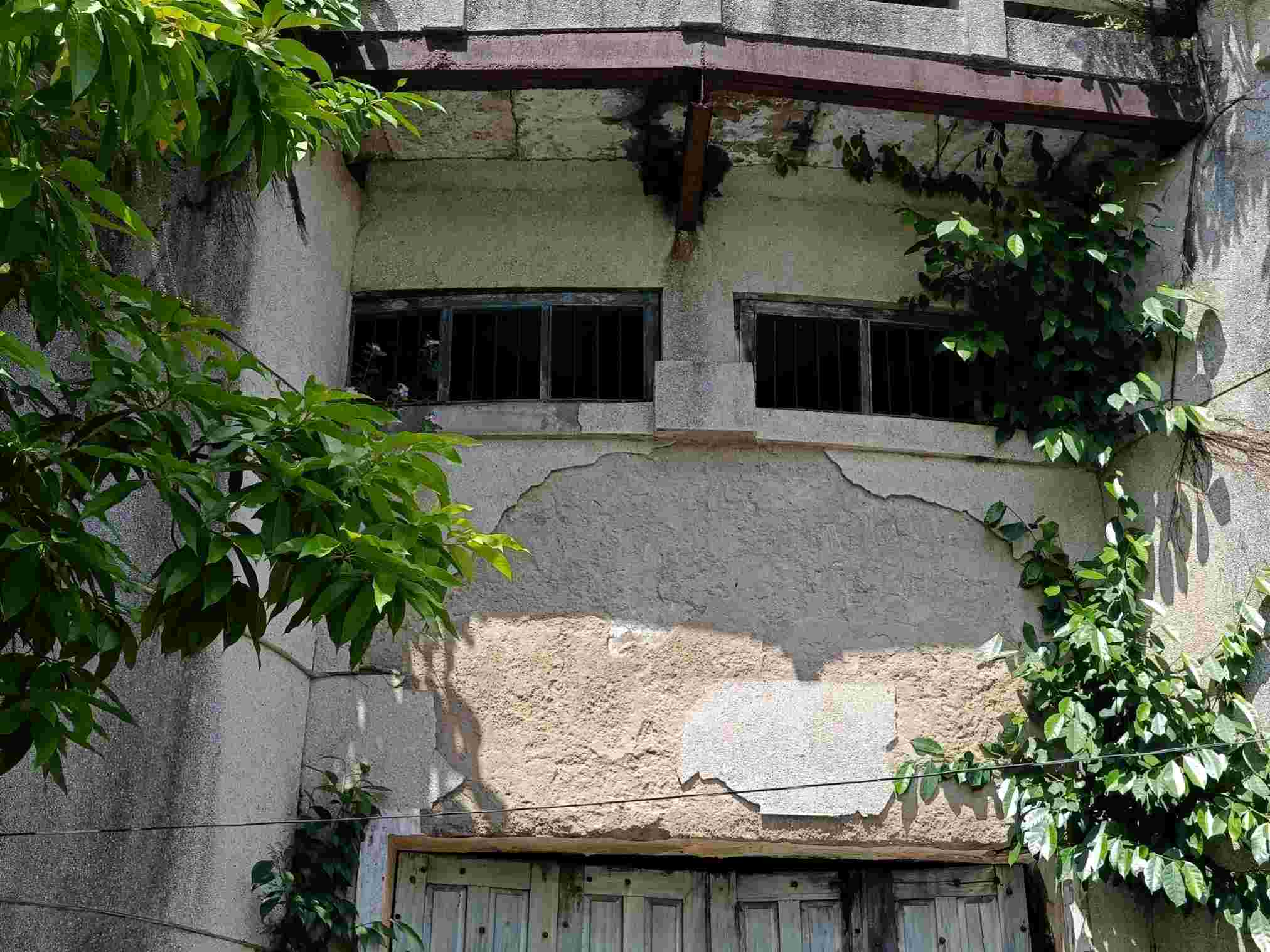 Outside the relic, the wall is cracked, and weeds are growing densely. Photo: Mai Dung