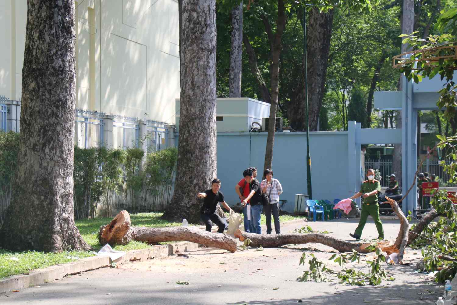 Hiện trường nhánh cây gãy ở Công viên Tao Đàn.  Ảnh: Minh Quân