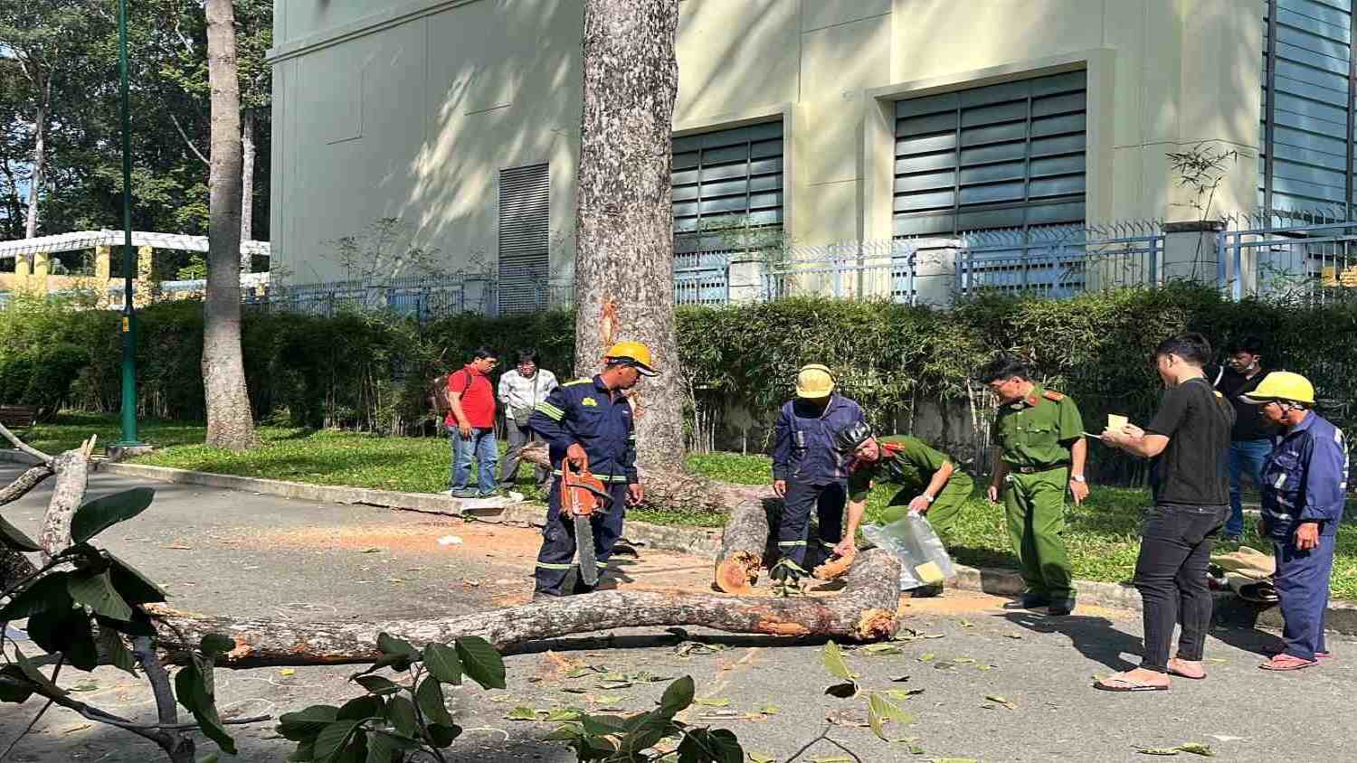Công an khám nghiệm hiện trường nhánh cây gãy đè chết 2 người ở Công viên Tao Đàn. Ảnh: Minh Quân