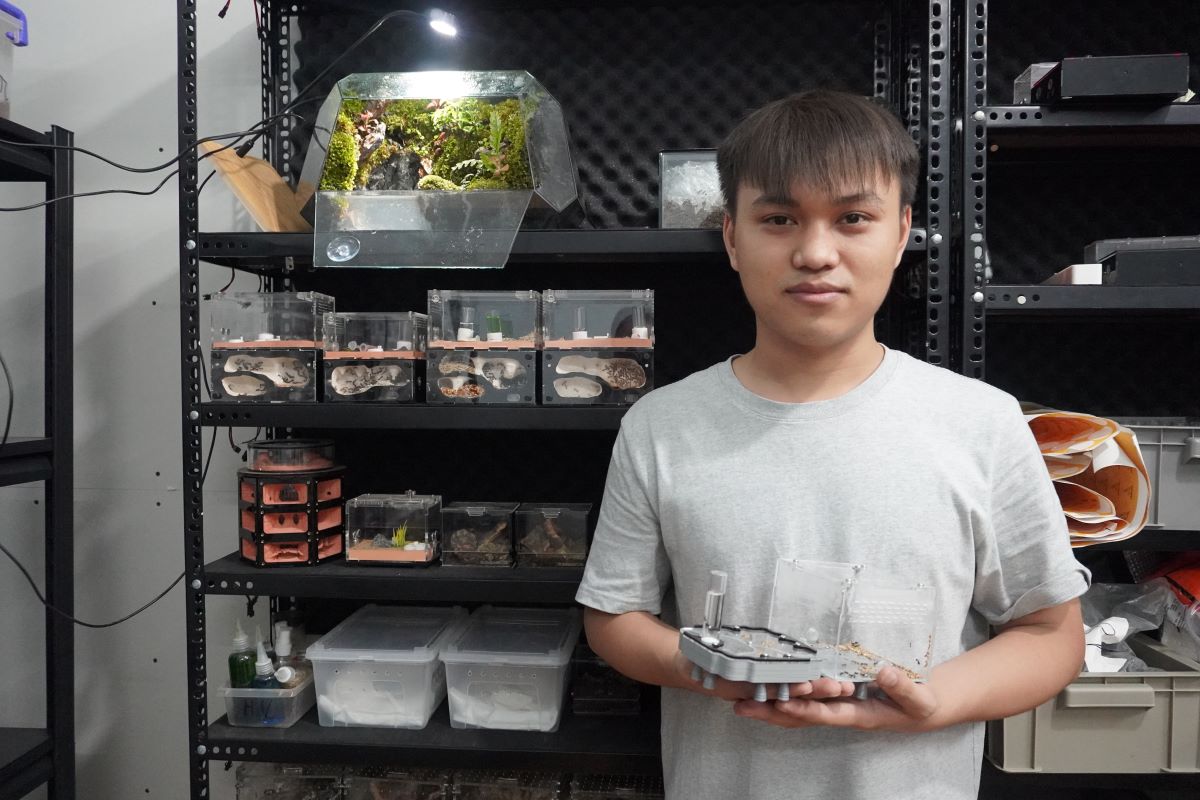 Nguyễn Duy Hưng khởi nghiệp từ việc nuôi kiến cảnh. Ảnh: Mỹ Duyên