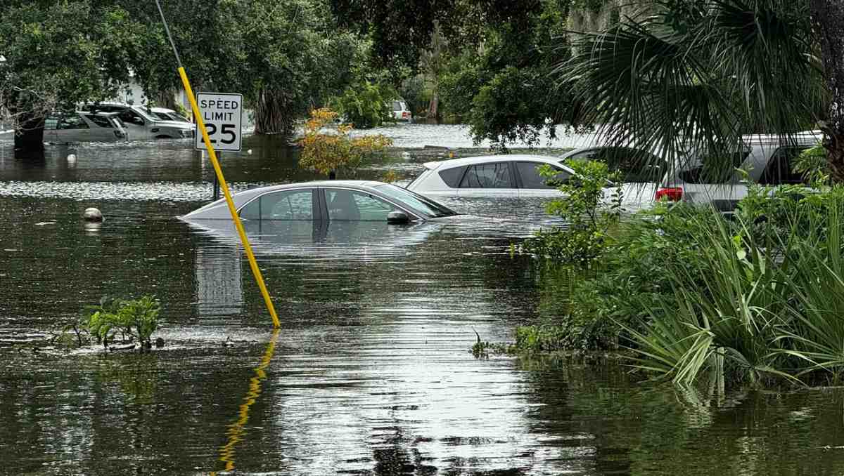 Bão số 4 Debby gây ngập lụt nặng nề ở Sarasota, Florida, Mỹ. Ảnh: FOX Weather