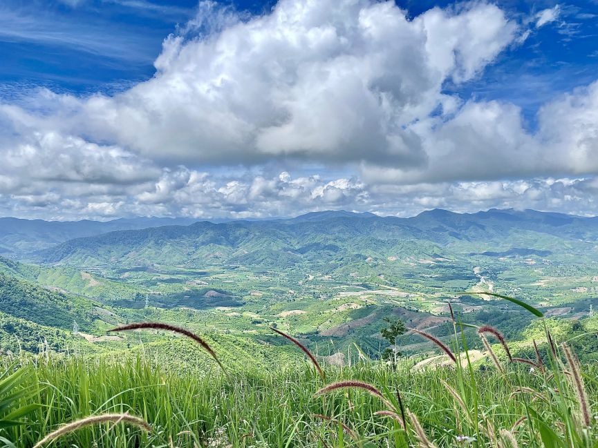 Đại ngàn bao la từ trên cao nhìn xuống.