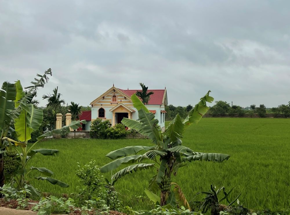 The solid houses that are believed to have been built in violation on agricultural land and aquaculture in Cao Trai hamlet. Photo: Provided by the people