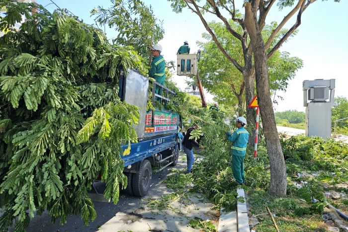 Da Nang will complete pruning greenery to resist typhoons by early October. Photo: Tran Thi