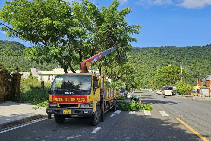 Pruning in advance at regional routes with sparse population in the event that the weather remains hot. Photo: Tran Thi