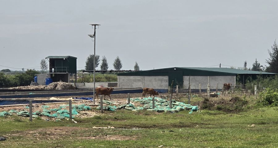 Công trình xây dựng trái phép của hộ ông Lương Văn Lương nằm trong hành lang bảo vệ đê biển số 5 thuộc địa phận thôn Thiện Tường (xã Nam Thịnh, huyện Tiền Hải, tỉnh Thái Bình).Ảnh: Nam Hồng