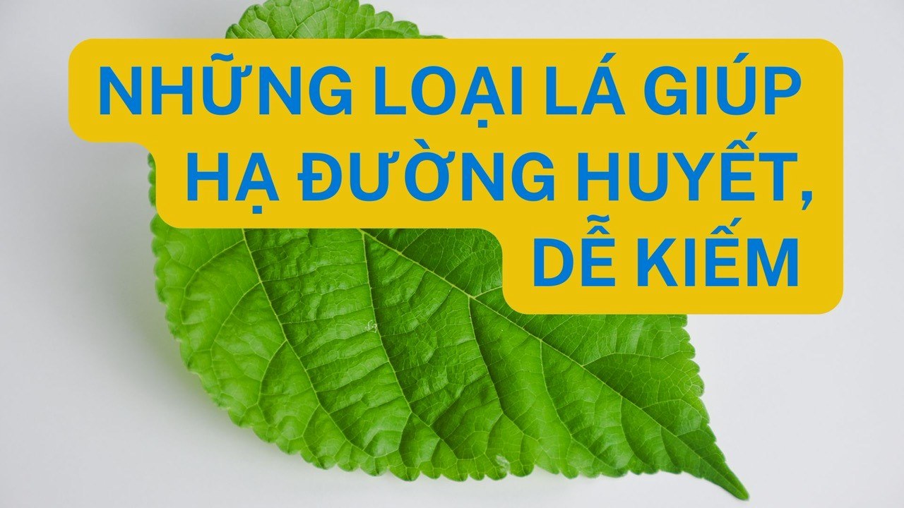 Những loại lá giúp hạ đường huyết, dễ kiếm hàng ngày. Ảnh ghép: Nguyễn Ly