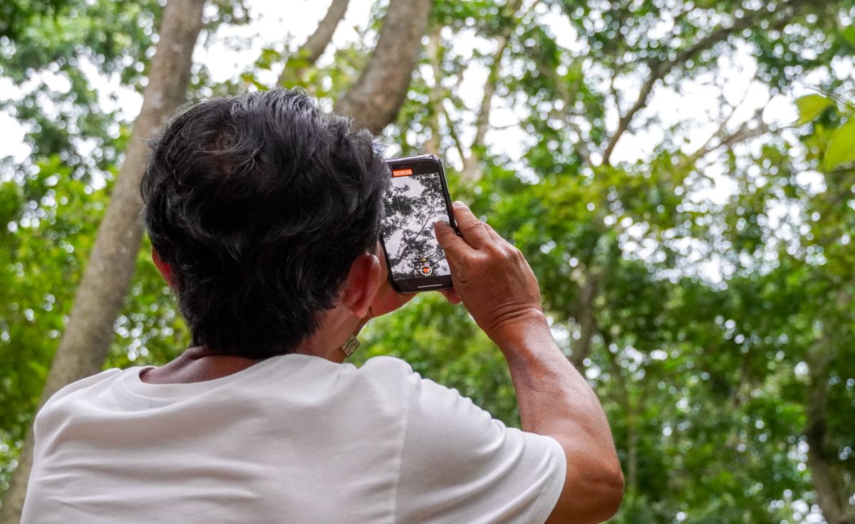 Du khách thích thú chiêm ngưỡng đàn dơi quý. Ảnh: Phương Anh