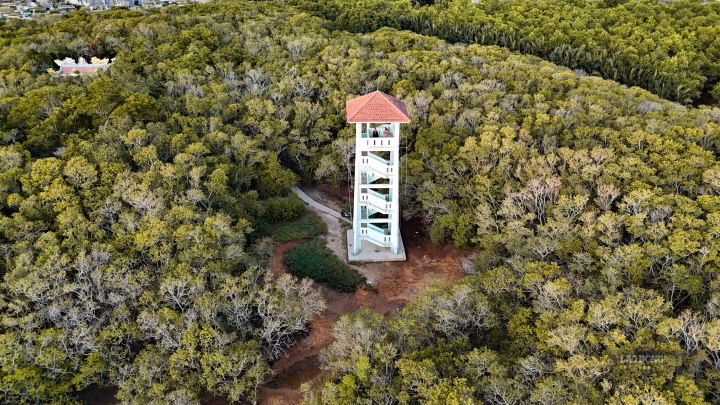 According to the locals, “Rú” means forest, “Chá” is a tree species that occupies about 90% of the area. The name Ru Chá has both a rustic, wild beauty and a mysterious quality. FIGURE 15: When coming to Ru Chá, you must definitely go up to the tower in the middle of the forest, standing from above looking down, we can admire the panoramic view of the mangrove forest below; from the immense forest carpets to the peaceful, poetic Tam Giang lagoon.