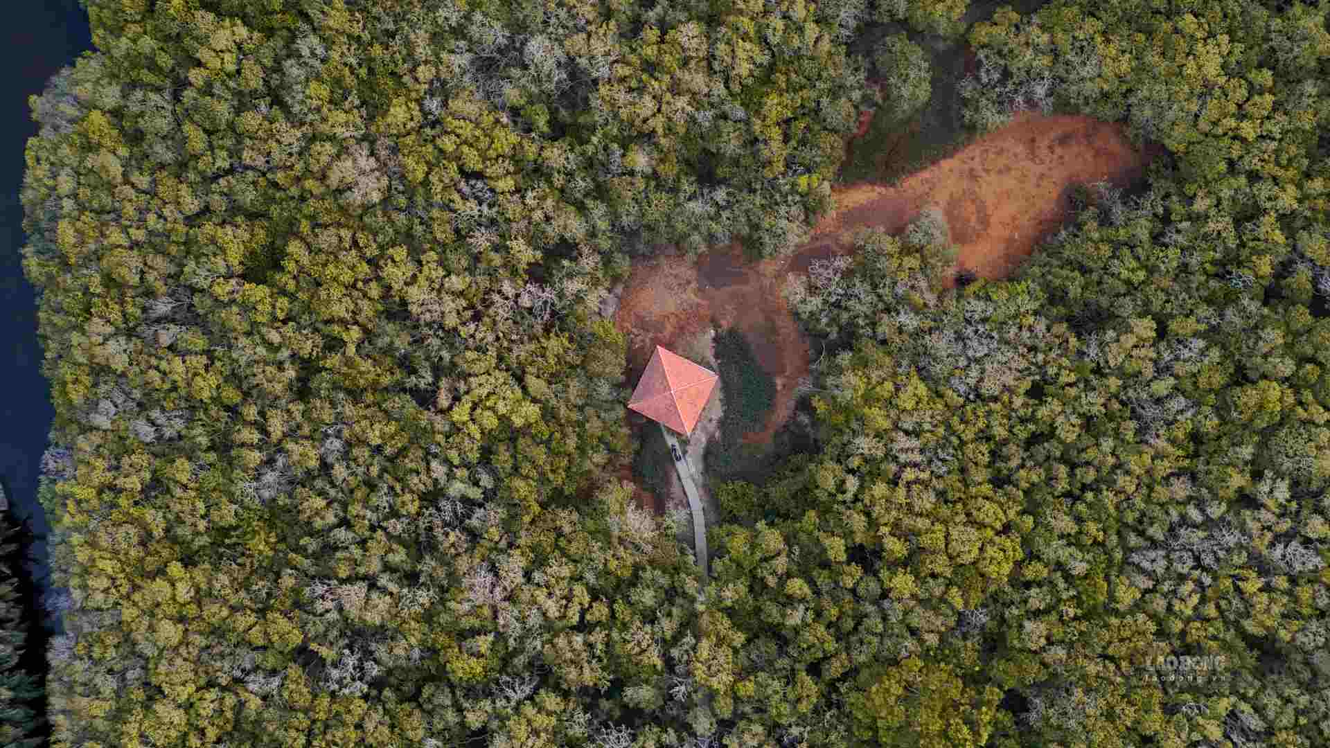 Ru Cha is the name of the only remaining primeval mangrove forest in the Tam Giang lagoon system - the largest lagoon system in Southeast Asia.