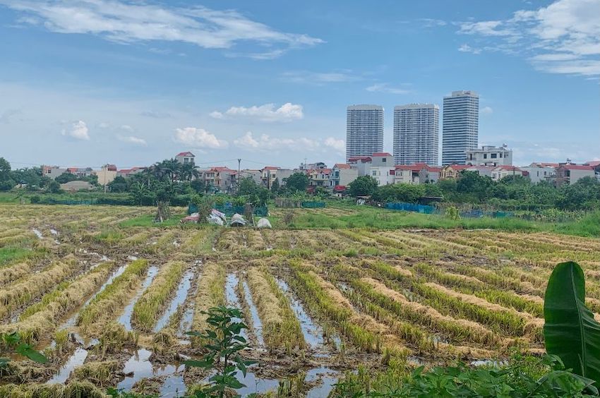 Trình tự thực hiện quyết định cưỡng chế thu hồi đất. Ảnh: Phương Anh