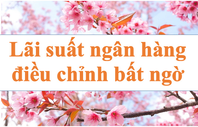 Lãi suất ngân hàng có sự điều chỉnh bất ngờ. Ảnh minh họa: Hà Vy