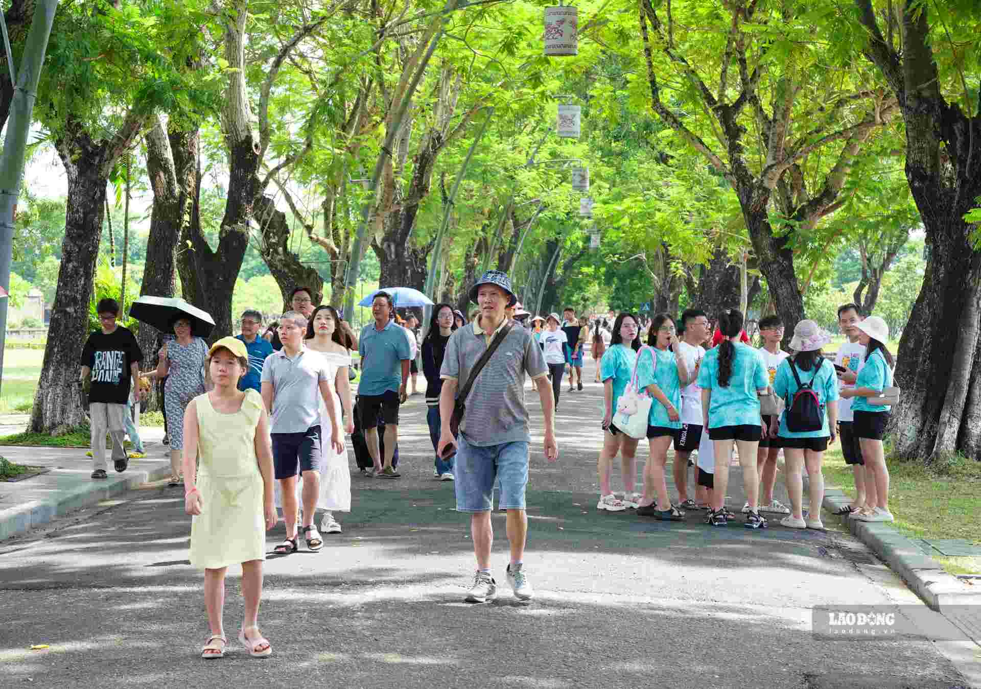 According to forecasts, during the National Day on September 2, the number of tourists traveling to Hue will increase sharply. From today to August 31, Hue will welcome a large number of visitors.