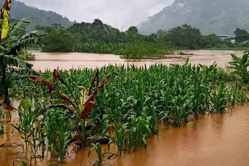 Diện tích hoa màu bị sạt lở vùi lấp, ngập lụt lên đến hàng trăm héc ta. Ảnh: Đinh Đại