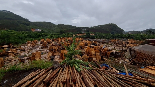 Nhiều bó gỗ thành phẩm hư hỏng nặng sau bão. Ảnh: Đền Phú