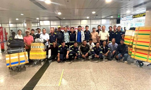 Ngày 9.9, nhân viên cây xanh TPHCM ra Hà Nội, Hải Phòng khắc phục sau bão số 3. Ảnh: Đông Hoàng