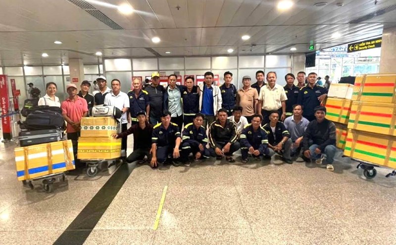 Ngày 9.9, nhân viên cây xanh TPHCM ra Hà Nội, Hải Phòng khắc phục sau bão số 3. Ảnh: Đông Hoàng