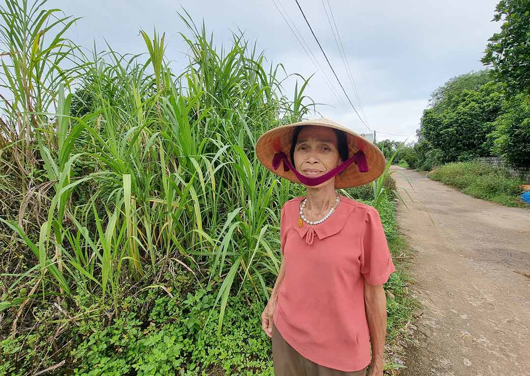 Bà Đào Thị Liễu kiến nghị giải tỏa hành lang giao thông từ cuối năm 2023, đến nay sự việc vẫn giẫm chân tại chỗ. Ảnh: Quang Đại