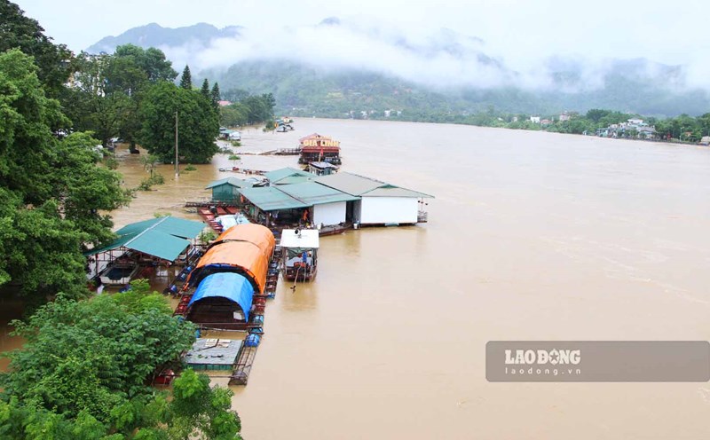 TP Tuyên Quang đón trận lũ sông Lô lịch sử sau gần 20 năm có thủy điện.