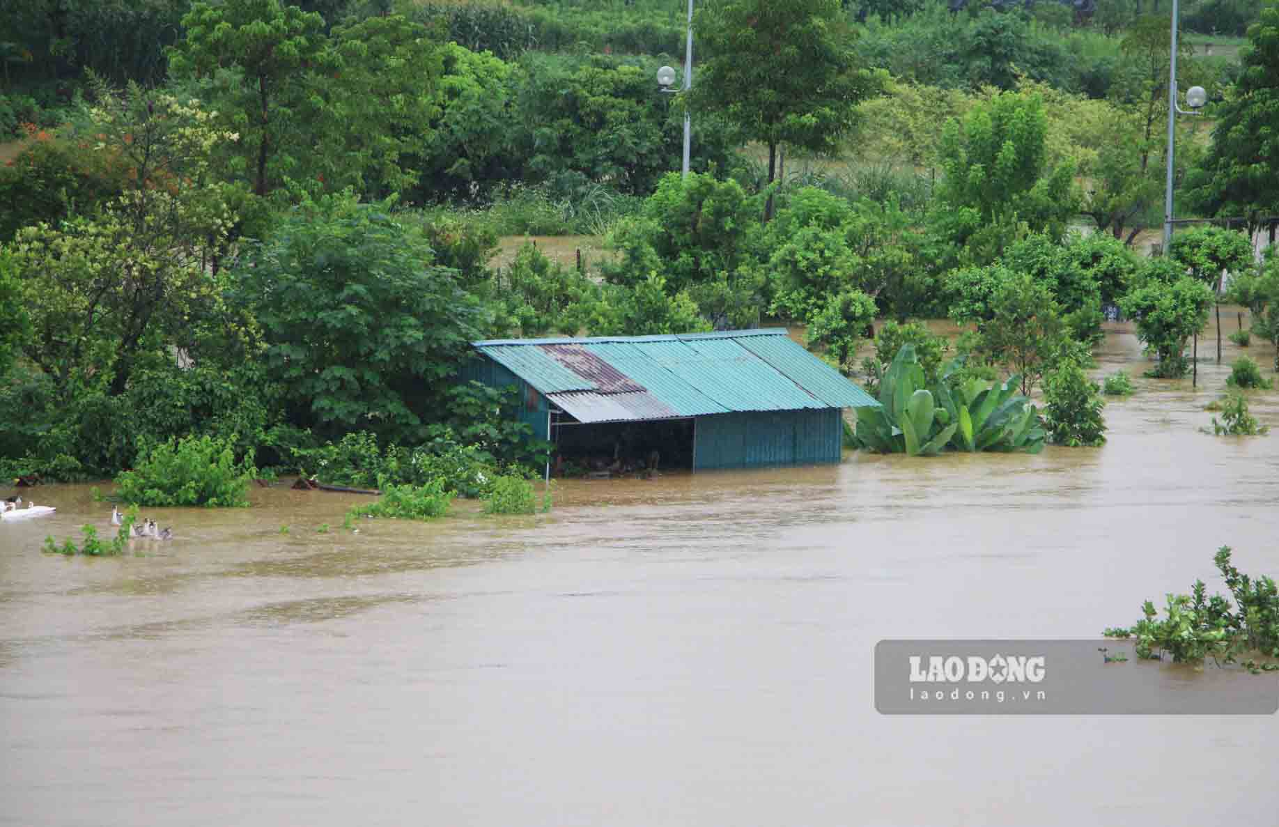 Riverbank areas have been flooded since the afternoon of September 9.