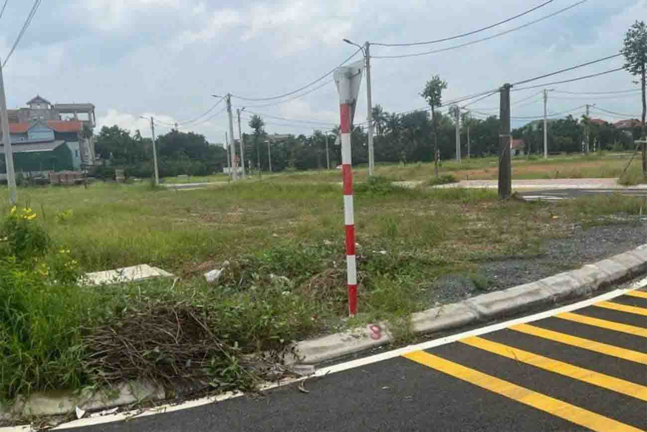 Một khu đất đấu giá tại huyện Phúc Thọ có mức giá trúng 60 triệu đồng/m2. Ảnh: Thái Huy