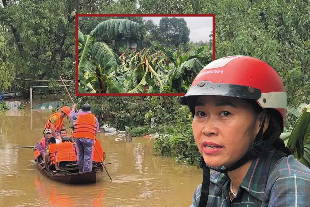 Ngập bãi sông Hồng, người dân bất lực vì hoa màu mất trắng