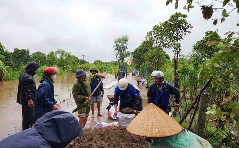 Thực hiện "4 tại chỗ" ngăn nước tràn để cứu 70 ha lúa mùa ở xã Xuân Hòa (huyện Vũ Thư, tỉnh Thái Bình) sáng 10.9. Ảnh: Nam Hồng