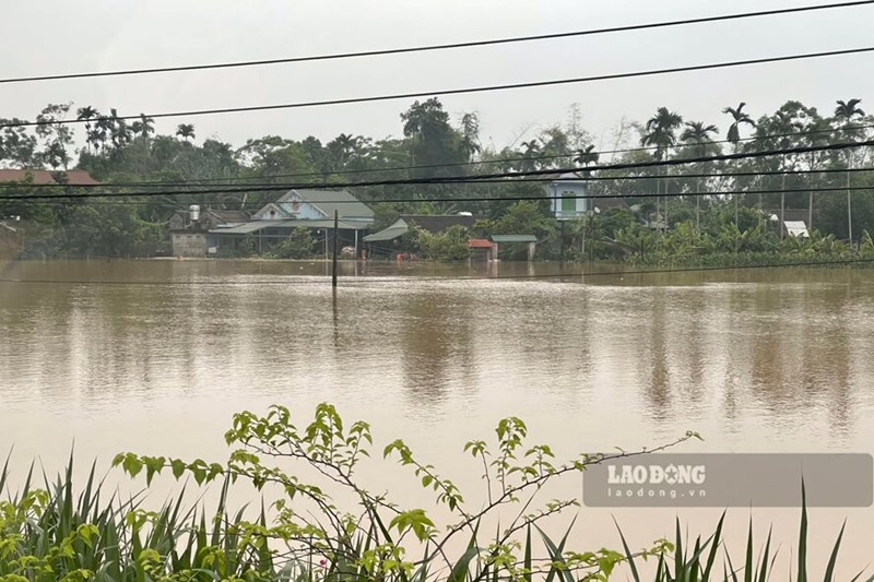 Lũ sông Hồng dâng cao khiến 60 hộ dân ở Phú Thọ bị cô lập. Ảnh: Tô Công