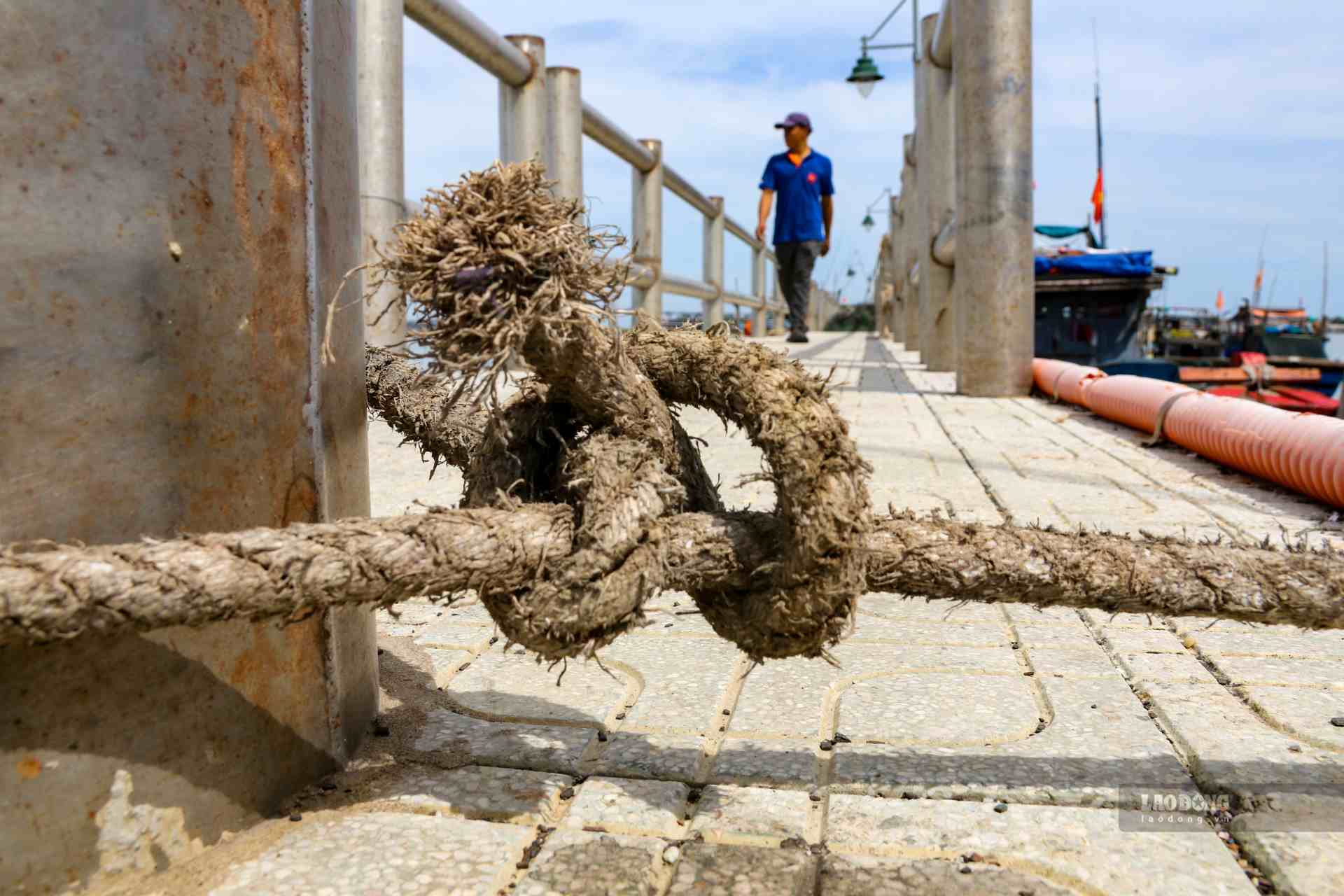 Upon discovering this shortcoming, the agency contracted a specialized unit to measure and determine the current status and area of ​​the port land and water surface. Currently, the application for land and water surface allocation for Thuan An fishing port has been sent to the Department of Natural Resources and Environment and relevant agencies for appraisal and processing. After completing this procedure, it will be submitted to the competent authority for consideration and announcement of the port opening.