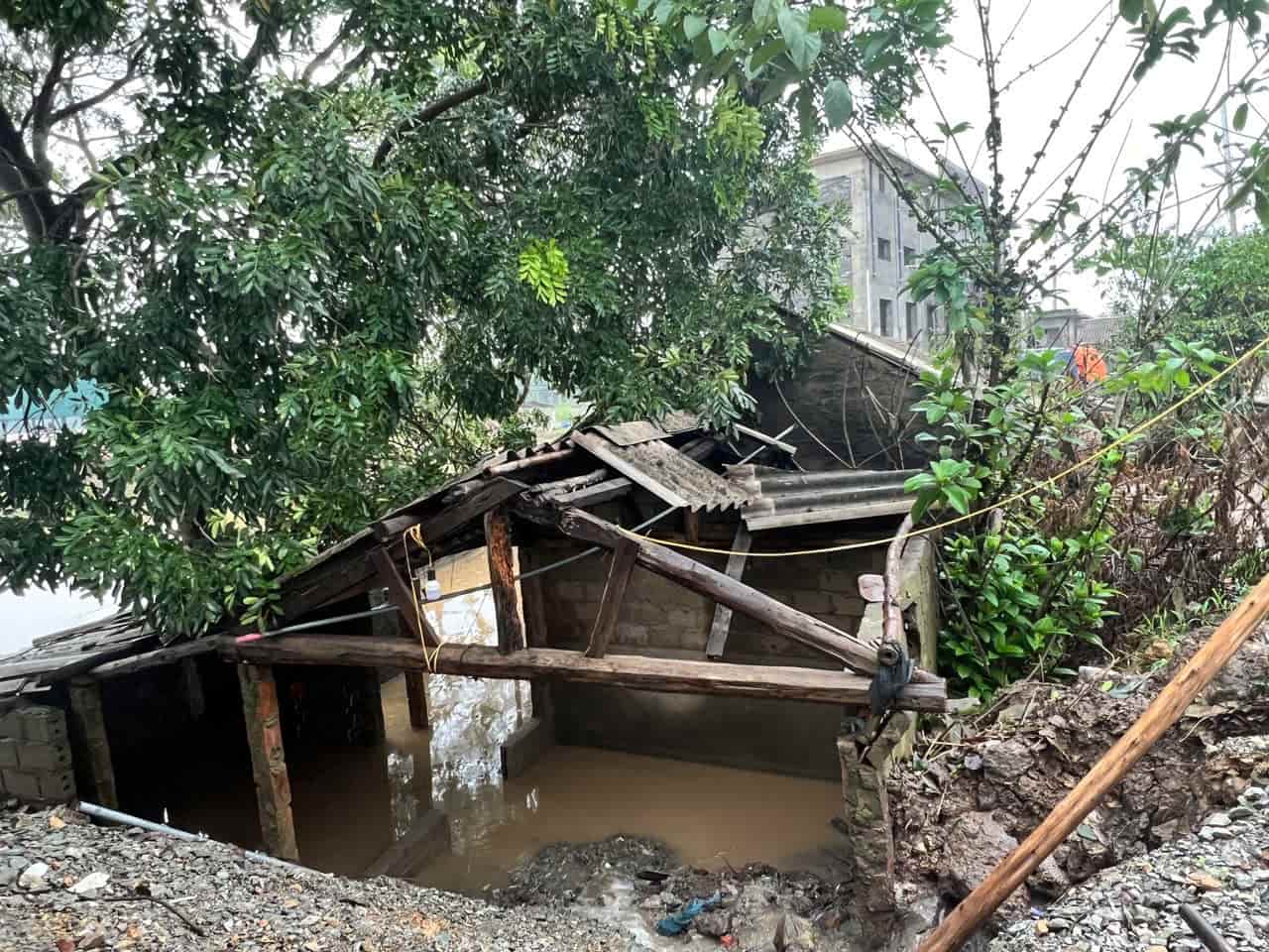 The small house is near the rice fields but is home to a family of four. This female worker is determined to protect it, otherwise there will be nothing left.