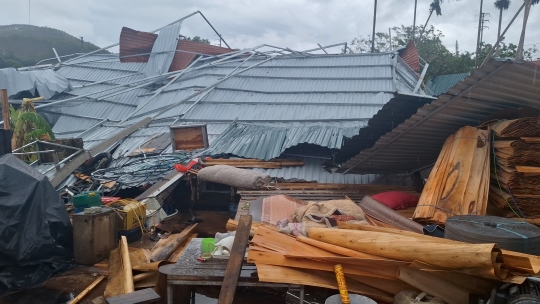 Speaking to Lao Dong Newspaper reporter, Mr. Ly Van Chinh - Chairman of Binh Son Commune People's Committee, said: "In particular, in the commune, there are 20 plywood workshops, of which 14 were severely damaged. Most of the workshops had their roofs blown off, and their warehouses collapsed almost completely, with damage ranging from 100 to 500 million VND/workshop."