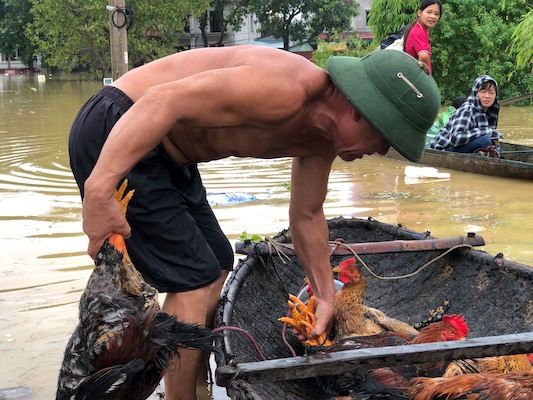 Nước lũ dâng cao, hơn 900 người dân ở Sóc Sơn bị cô lập
