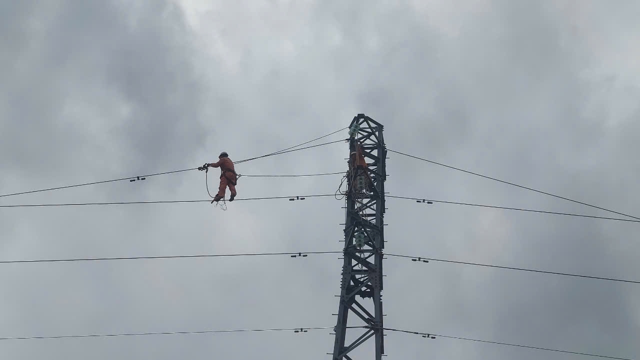 Electricians perch high above the ground to quickly restore the entire power grid in Quang Ninh. Photo: Quang Ninh Electricity Company