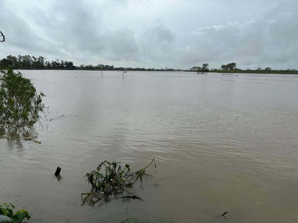 Nước sông Luộc (Hải Dương) dâng cao. Ảnh: Nguyễn Thành