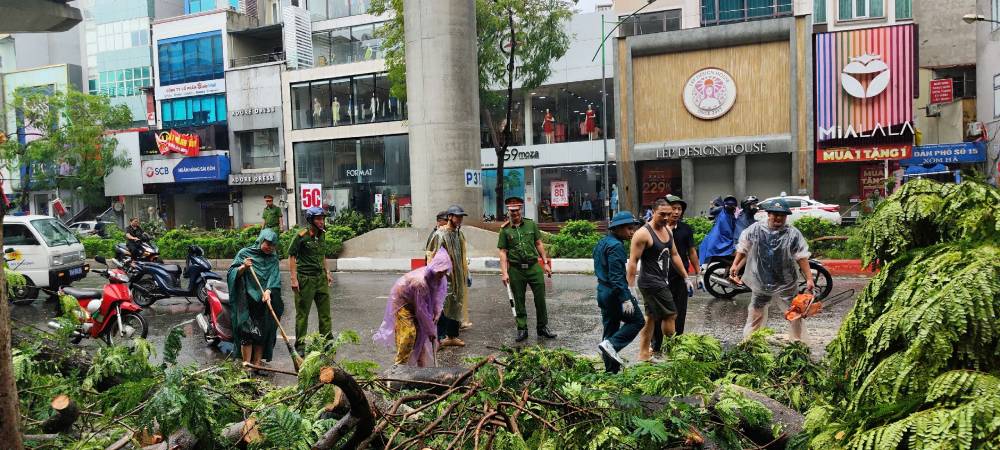 Authorities and people of Quan Hoa ward (Cau Giay) collect fallen trees and broken branches in the ward. Photo: Quan Hoa ward People's Committee