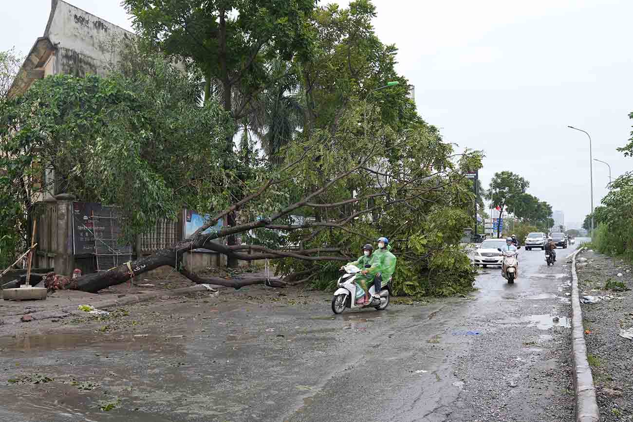 Một đoạn đường thuộc Đại lộ Thăng Long sau bão số 3. Ảnh Hữu Chánh 