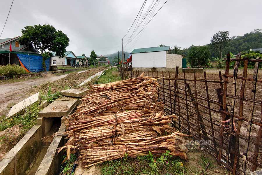 Khu vuc vuon nha ong Ngoc Van Luong ngap ung moi khi mua lon.