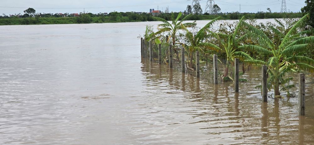 On the afternoon of September 10, flood water on Tra Ly River was still rising very quickly. Photo: Trung Du