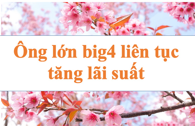 "Ông lớn" big4 tiếp tục tăng lãi suất. Ảnh minh họa: Hà Vy