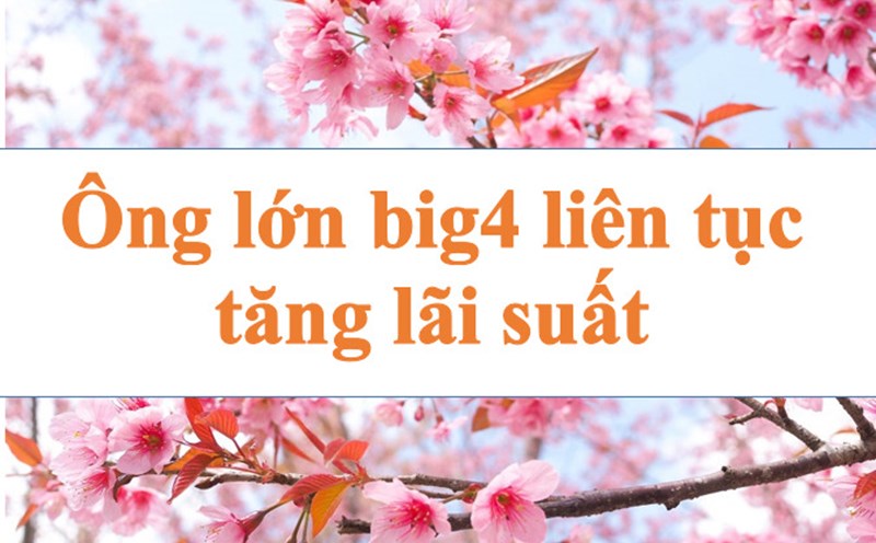 "Ông lớn" big4 tiếp tục tăng lãi suất. Ảnh minh họa: Hà Vy