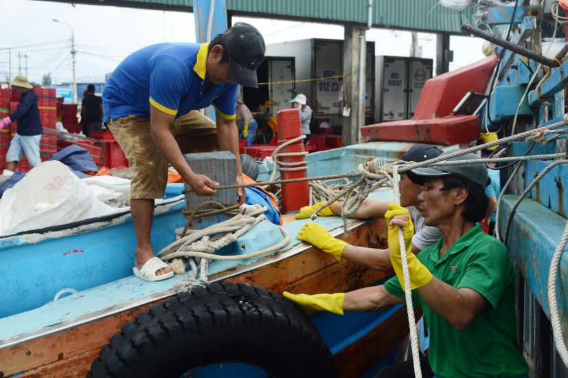 Mỗi khi có bão lớn, ngư dân Quảng Ngãi gặp rất nhiều khó khăn để tìm nơi trú ẩn vì nhiều cảng neo trú bị quá tải. Ảnh: Viên Nguyễn