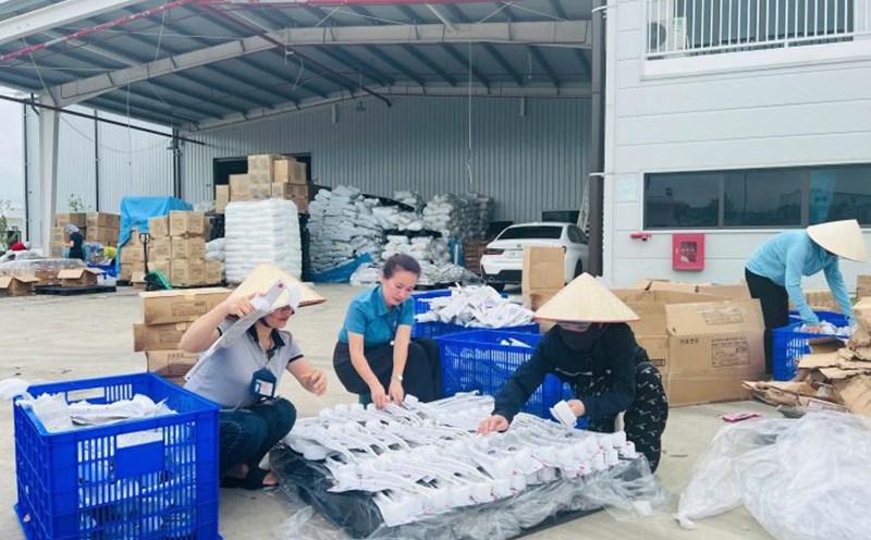 LĐLĐ huyện Vĩnh Bảo và công nhân hỗ trợ Công ty Iwahashi khắc phục thiệt hại do bão. Ảnh: Mai Dung