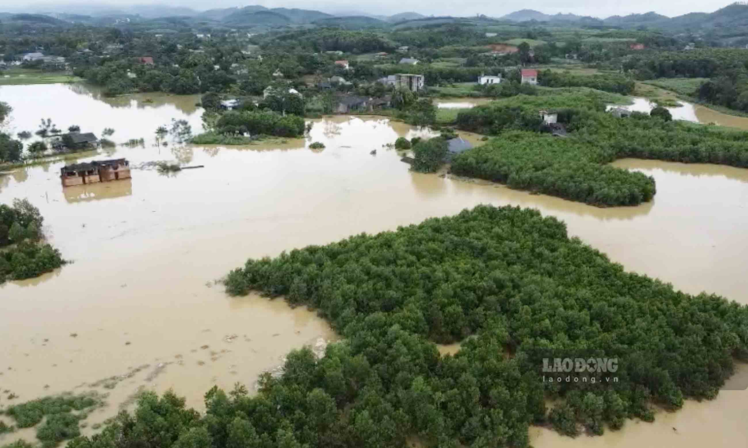 Ca mot khu vuc rong menh mong cua xa Quyet Thang va cac khu vuc lan can rong hang chuc ha bi da chim trong nuoc.