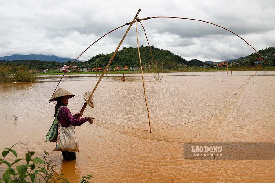 Vào mùa nước lũ dâng cao, người dân khu vực xung quanh hồ Pá Khoang tranh thủ đánh bắt cá.